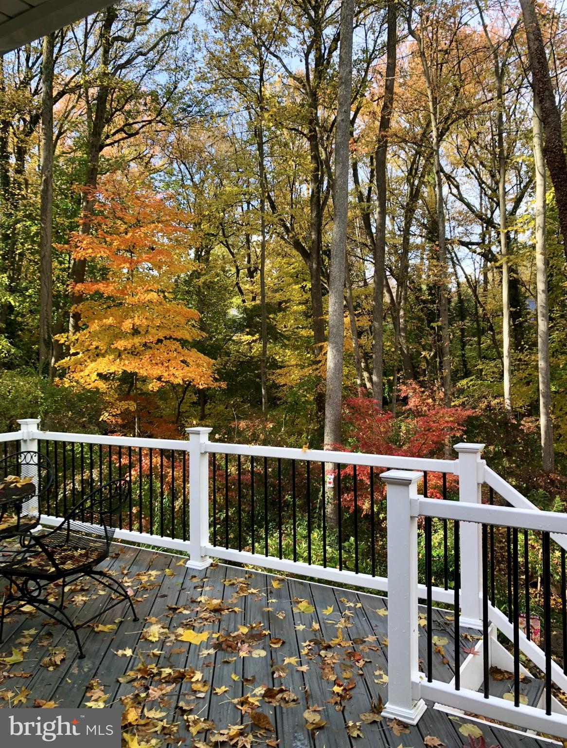 339 Plush Mill Road Wallingford, PA 19086 - Photo 26 of 34