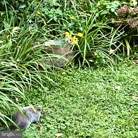 $699,000 | 339 Plush Mill Road, Wallingford, PA 19086