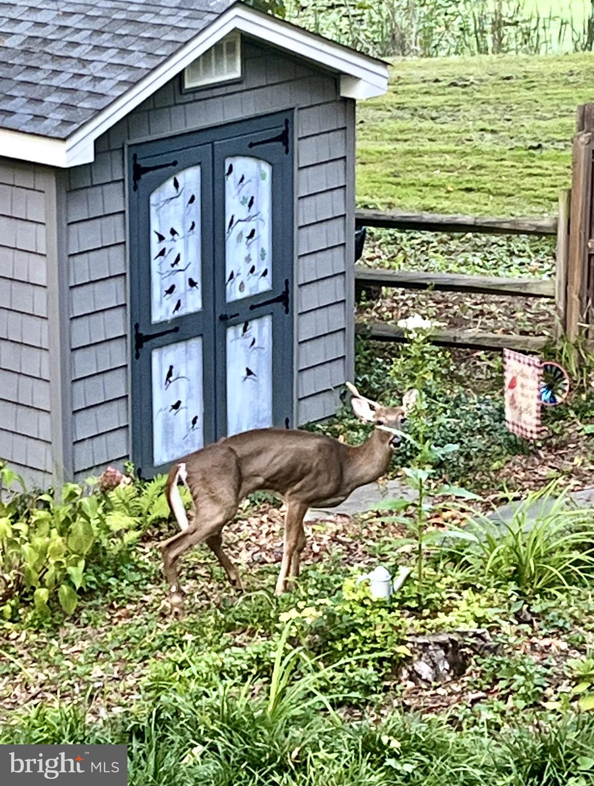 339 Plush Mill Road Wallingford, PA 19086 - Photo 33 of 34