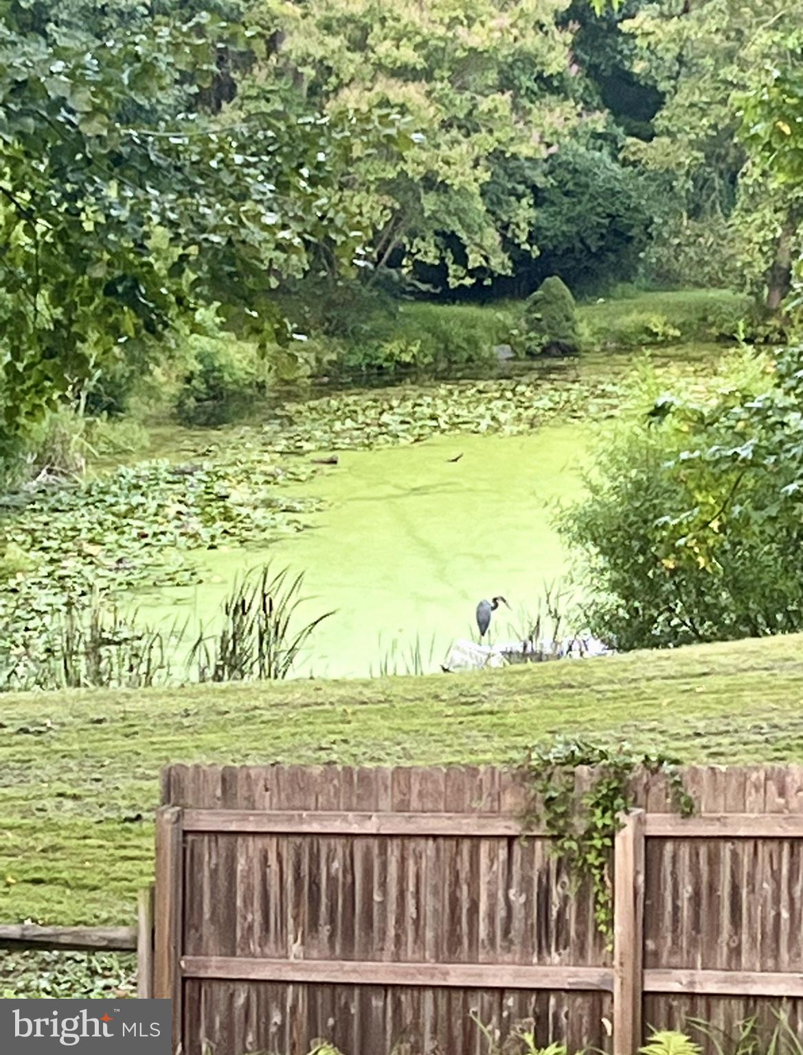 339 Plush Mill Road Wallingford, PA 19086 - Photo 34 of 34