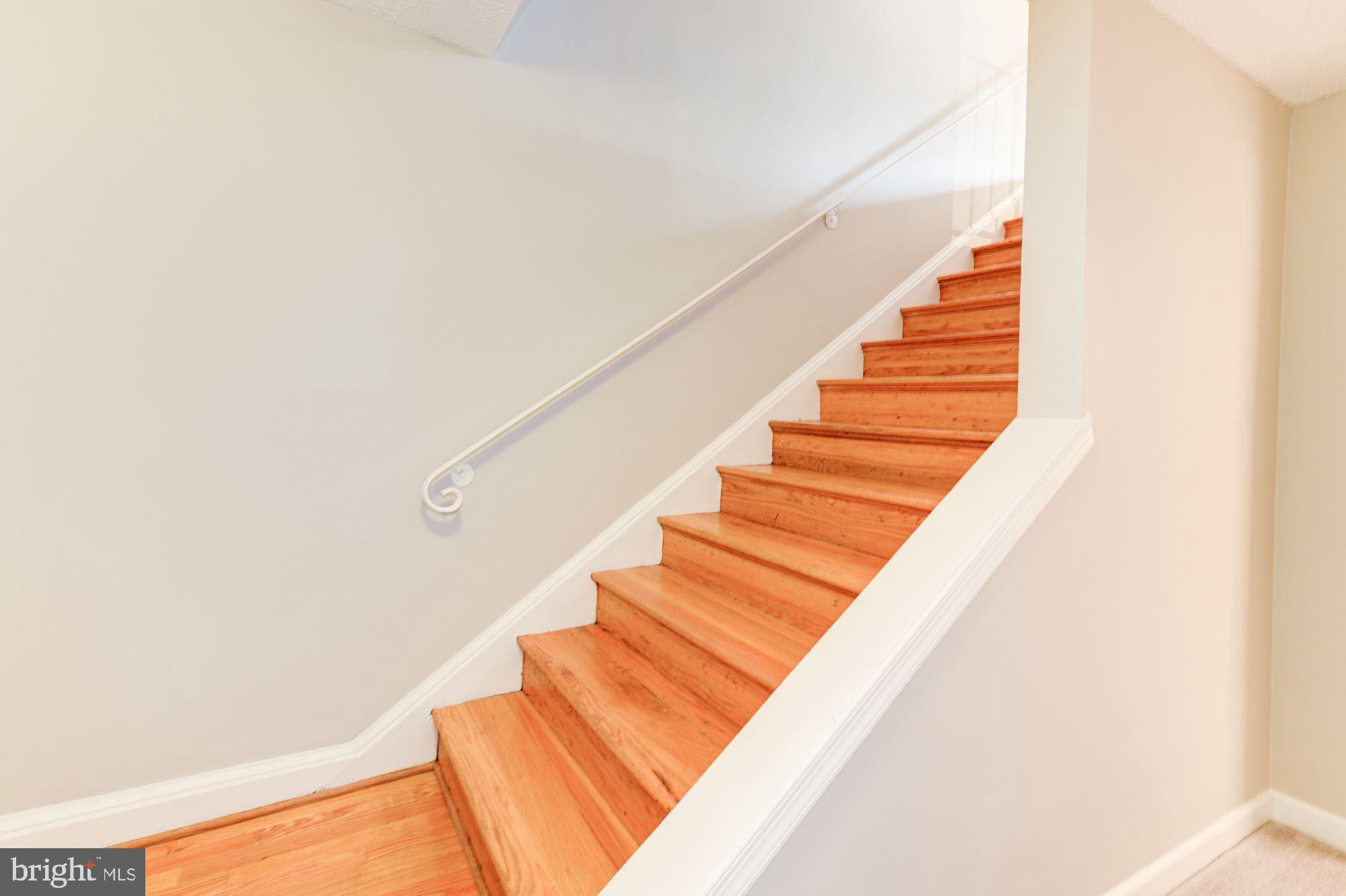 6317 Fort Hunt Road Alexandria, VA 22307 - Photo 25 of 41 Interior to Lower Level
