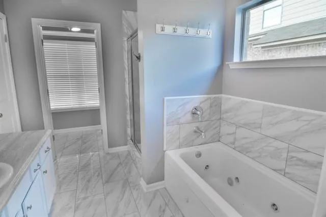 a bathroom with a bathtub and a shower