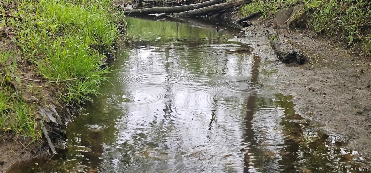 Rotterdam Road Sodus, NY 14551 - Photo 9 of 25
