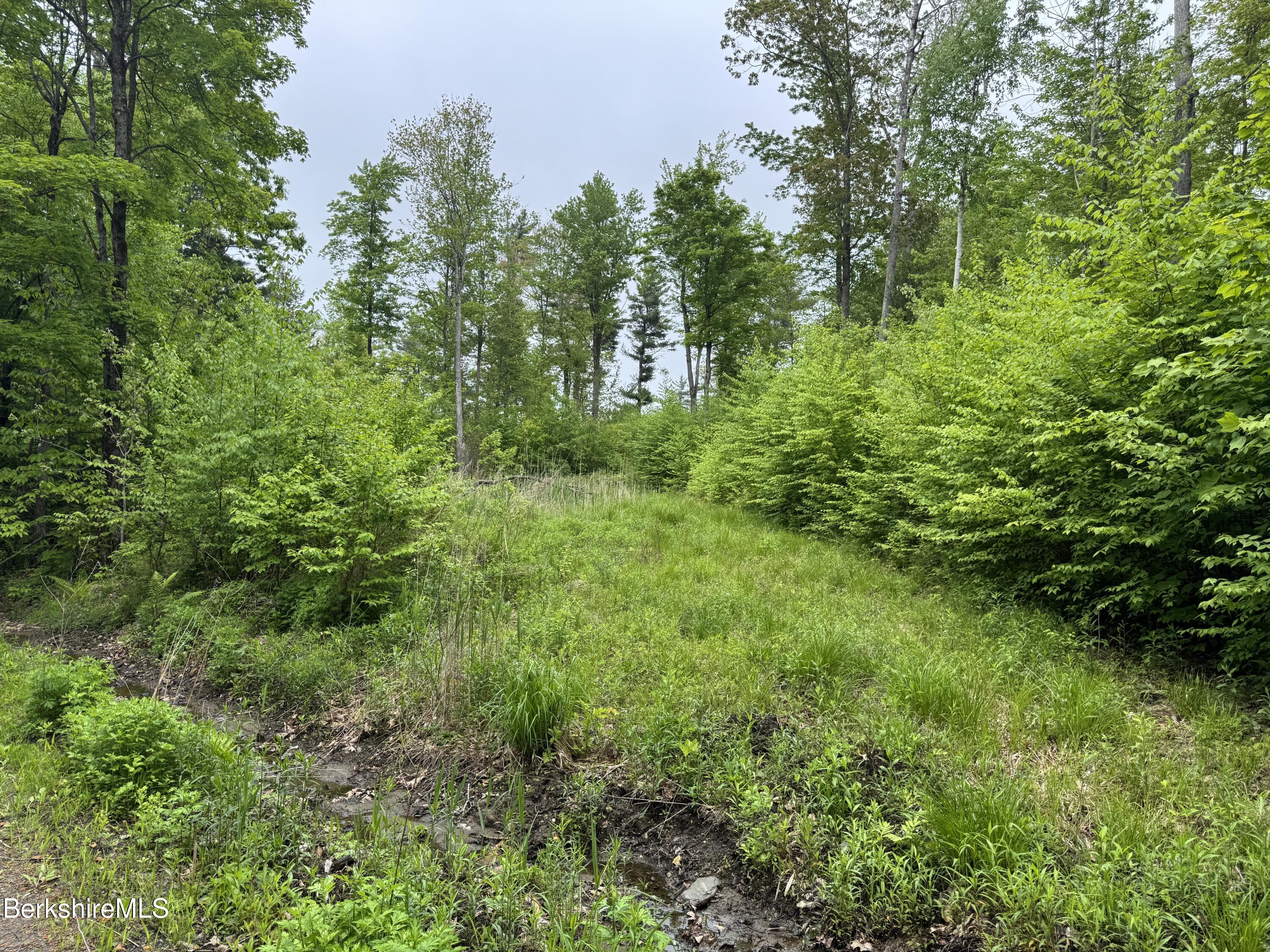 Lot ''b'' Beulah Land Road Blandford, MA 01008 - Photo 7 of 18 IMG_4579