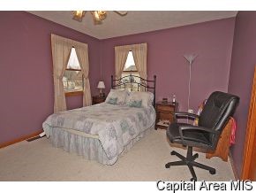 904 W Meadows Athens, IL 62613 - Photo 11 of 12 Gallery Image 11