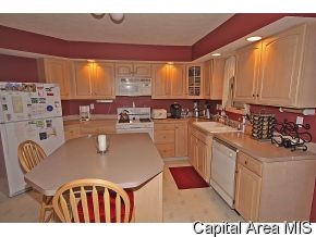 904 W Meadows Athens, IL 62613 - Photo 5 of 12 Gallery Image 5