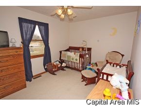 904 W Meadows Athens, IL 62613 - Photo 10 of 12 Gallery Image 10