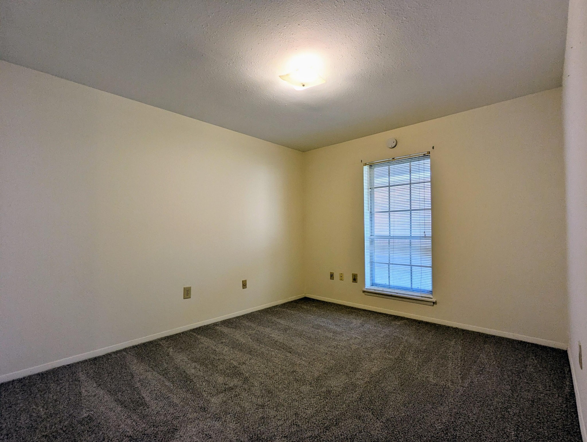900 Mountain Creek Road, Unit 38 Chattanooga, TN 37405 - Photo 9 of 14 an empty room with windows