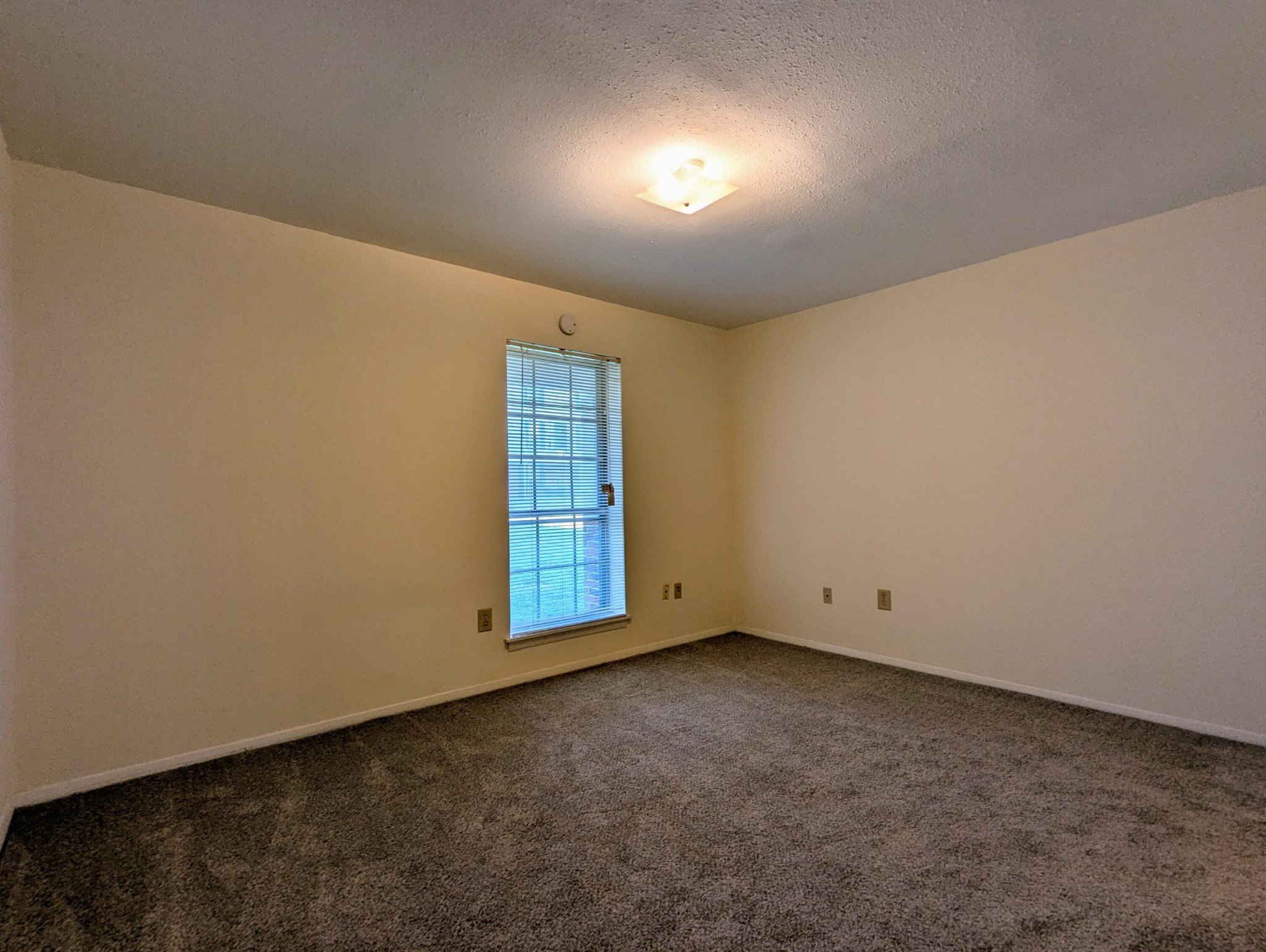 900 Mountain Creek Road, Unit 38 Chattanooga, TN 37405 - Photo 10 of 14 an empty room with windows