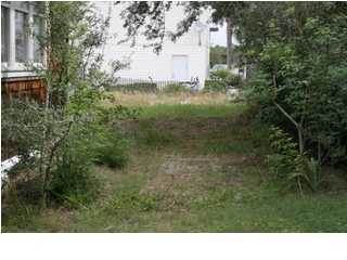 255 Garfield Street Santa Rosa Beach, FL 32459 - Photo 7 of 26 a open area with trees in front of it