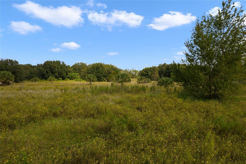 48 County Road Yalaha, FL 34797 - Photo 20 of 30