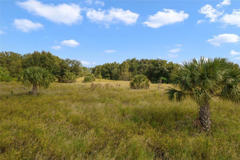 48 County Road Yalaha, FL 34797 - Photo 21 of 30