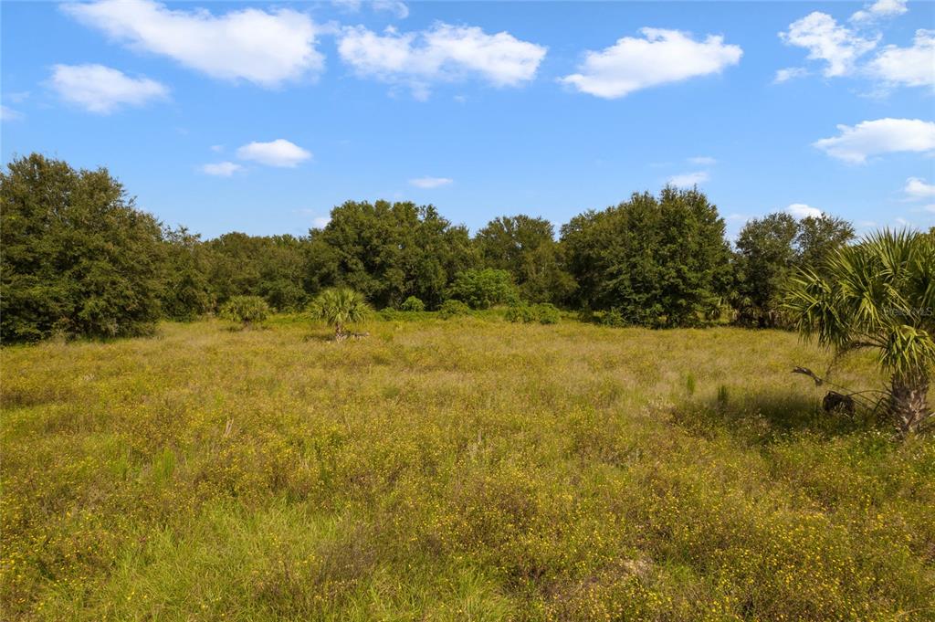 48 County Road Yalaha, FL 34797 - Photo 22 of 30