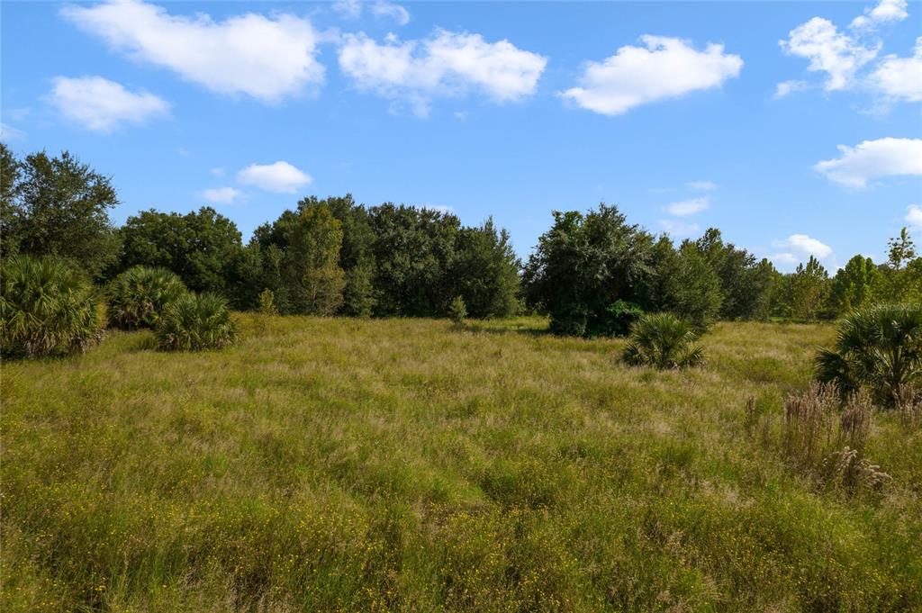 48 County Road Yalaha, FL 34797 - Photo 23 of 30