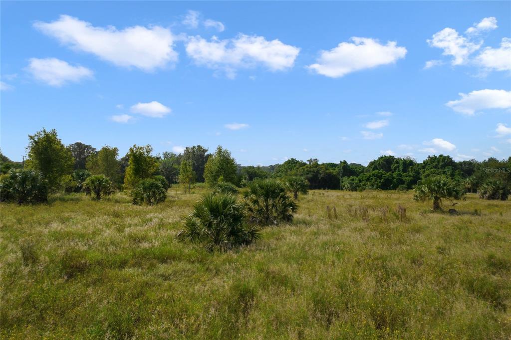 48 County Road Yalaha, FL 34797 - Photo 24 of 30