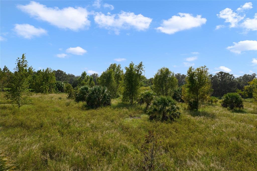 48 County Road Yalaha, FL 34797 - Photo 25 of 30