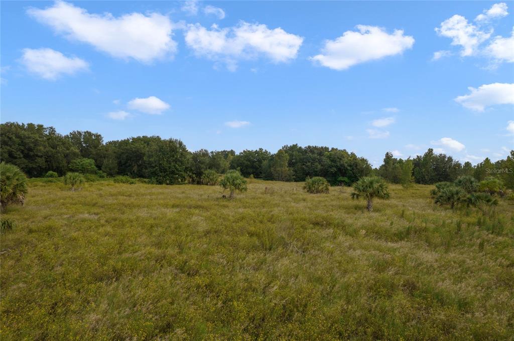 48 County Road Yalaha, FL 34797 - Photo 26 of 30