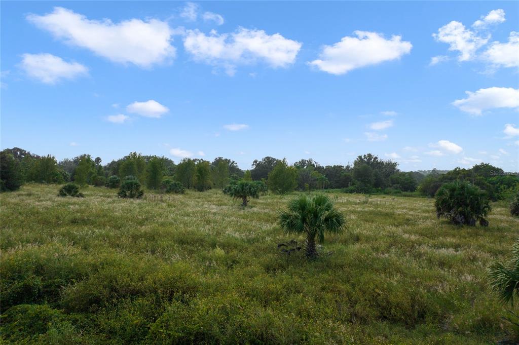 48 County Road Yalaha, FL 34797 - Photo 28 of 30