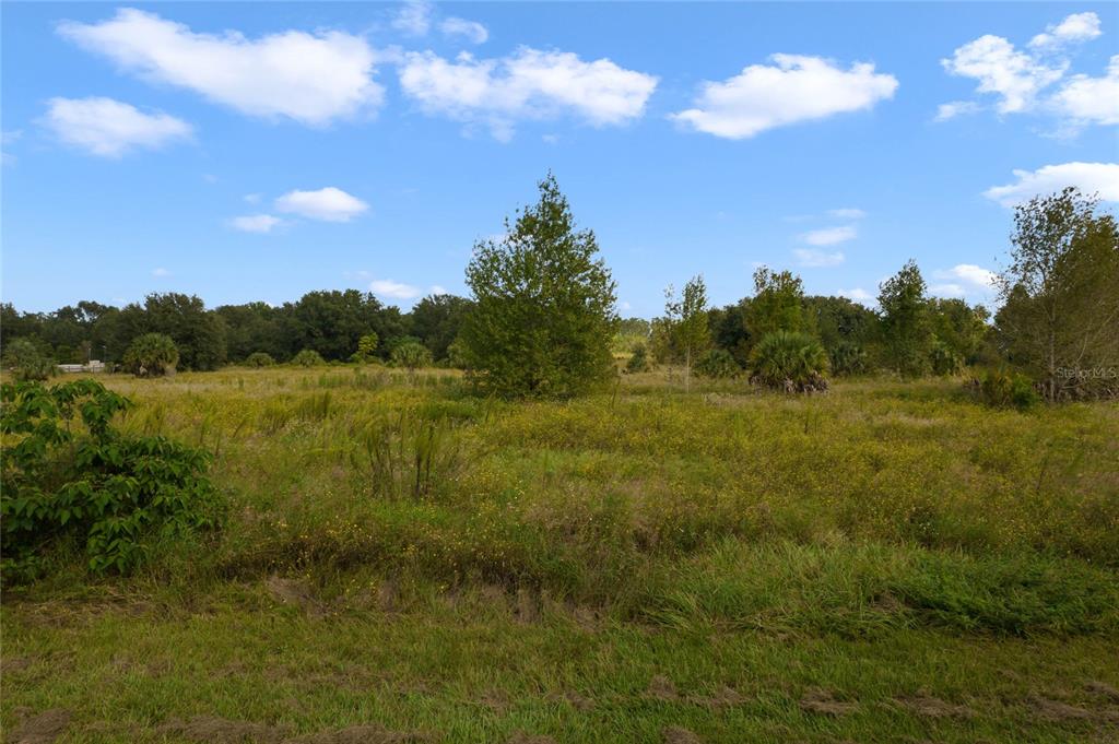 48 County Road Yalaha, FL 34797 - Photo 30 of 30