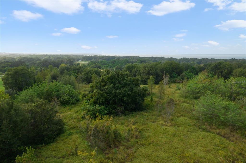 48 County Road Yalaha, FL 34797 - Photo 8 of 30