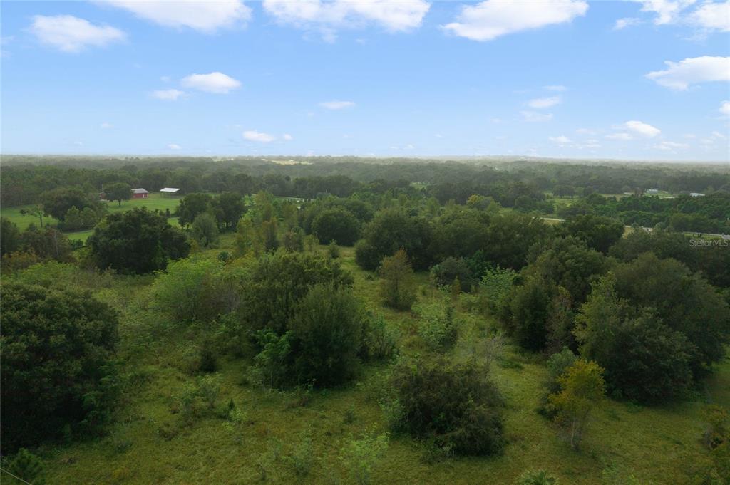 48 County Road Yalaha, FL 34797 - Photo 9 of 30