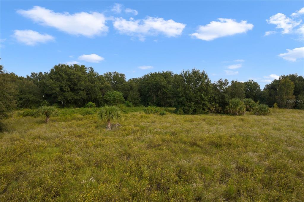 48 County Road Yalaha, FL 34797 - Photo 10 of 30