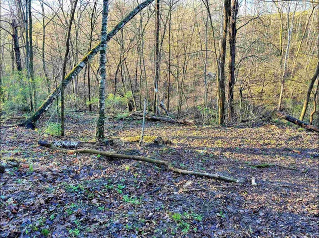 $75,000 | 58182 Mississippi Rdg Lane, Eastman, WI 54626