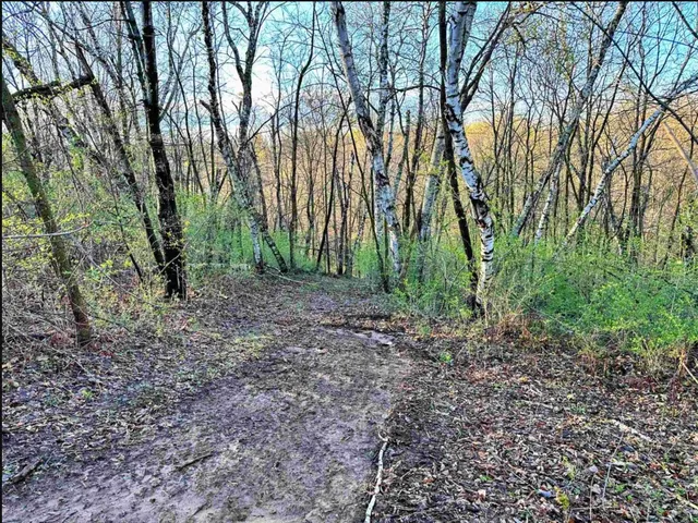 $75,000 | 58182 Mississippi Rdg Lane, Eastman, WI 54626