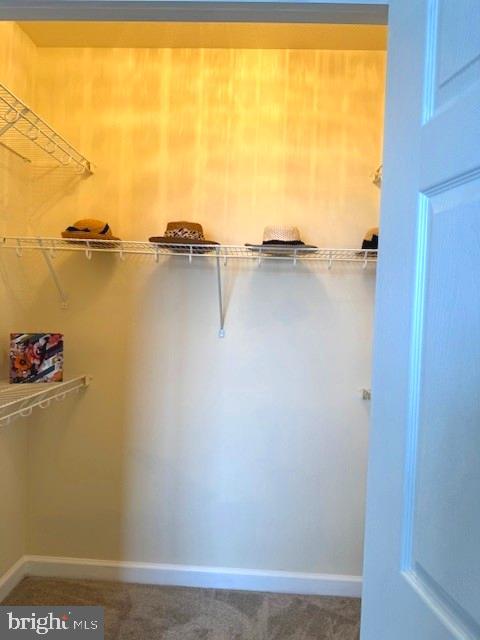 501 Hungerford Drive, Unit 445 Rockville, MD 20850 - Photo 10 of 18 Large closet