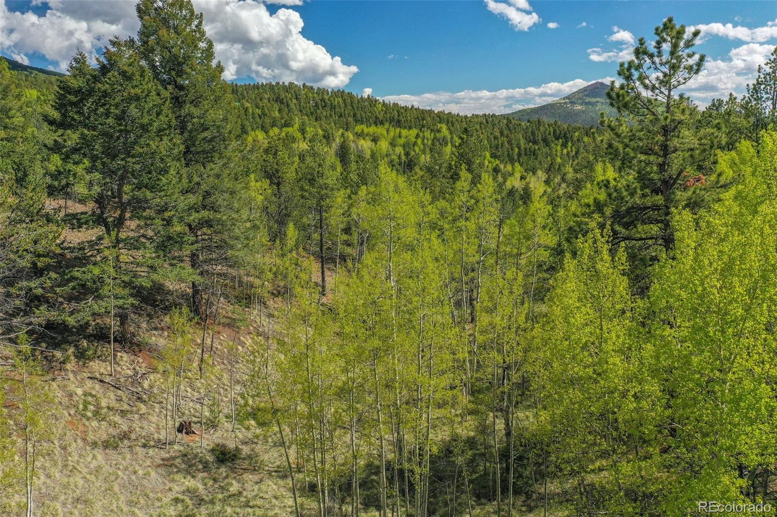412-486 Princess Road Cripple Creek, CO 80813 - Photo 12 of 17 Gallery Image 12