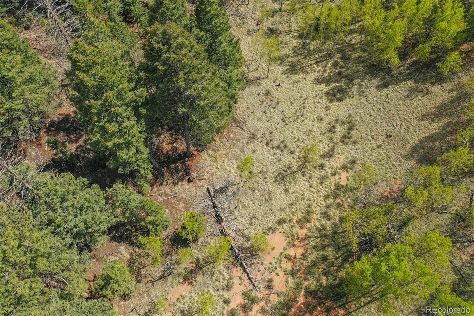 412-486 Princess Road Cripple Creek, CO 80813 - Photo 9 of 17 Gallery Image 9