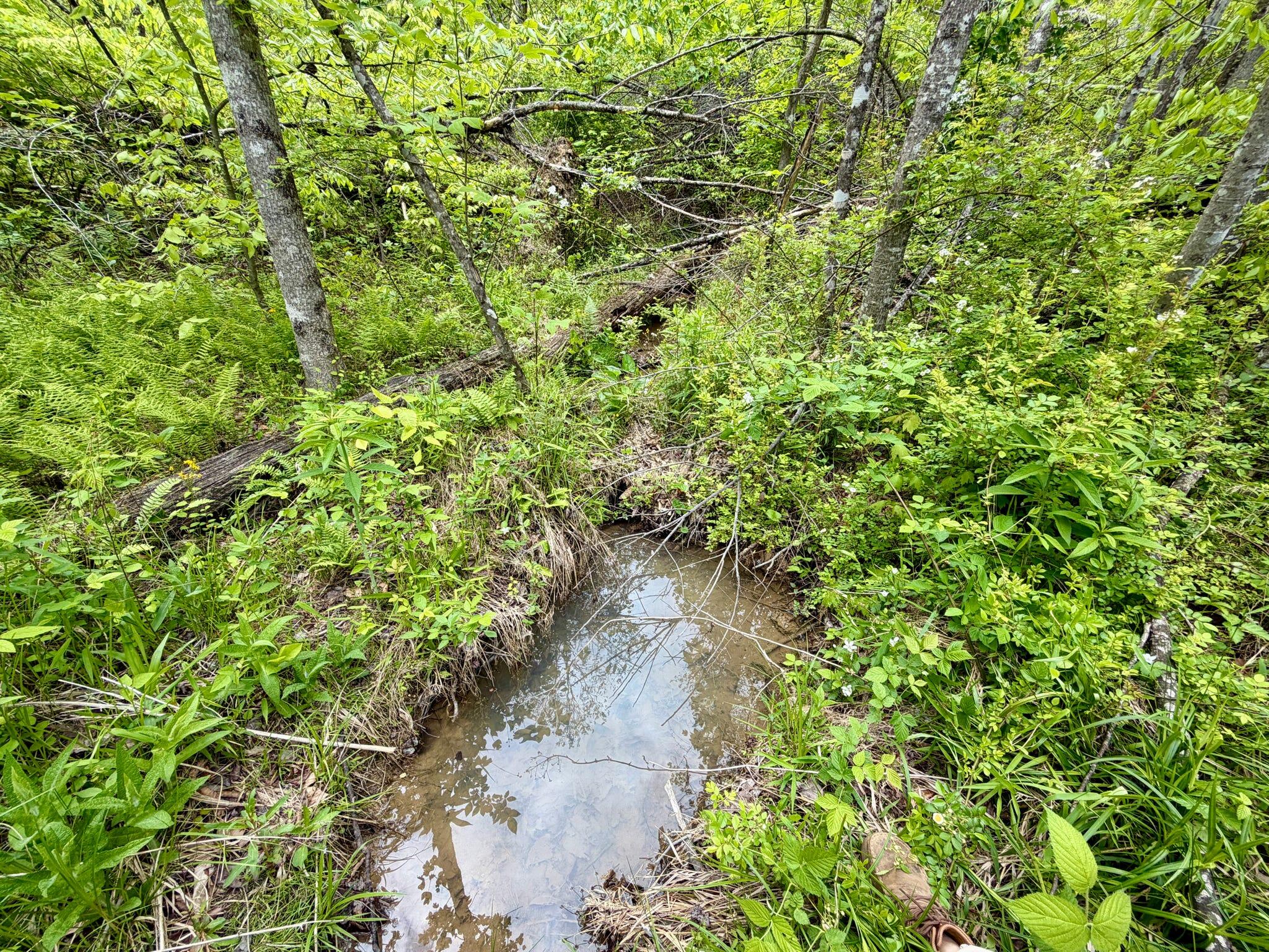 100 A Open Fork Road Morehead, KY 40351 - Photo 23 of 75 Creek