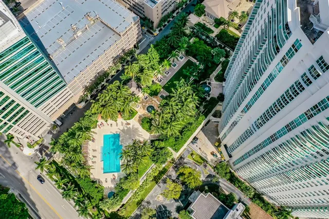 a close up of a flower in a garden