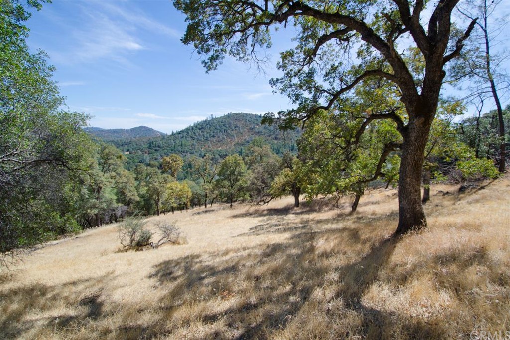 0 Erler Road Bangor, CA 95914 - Photo 1 of 1 Gallery Image 1