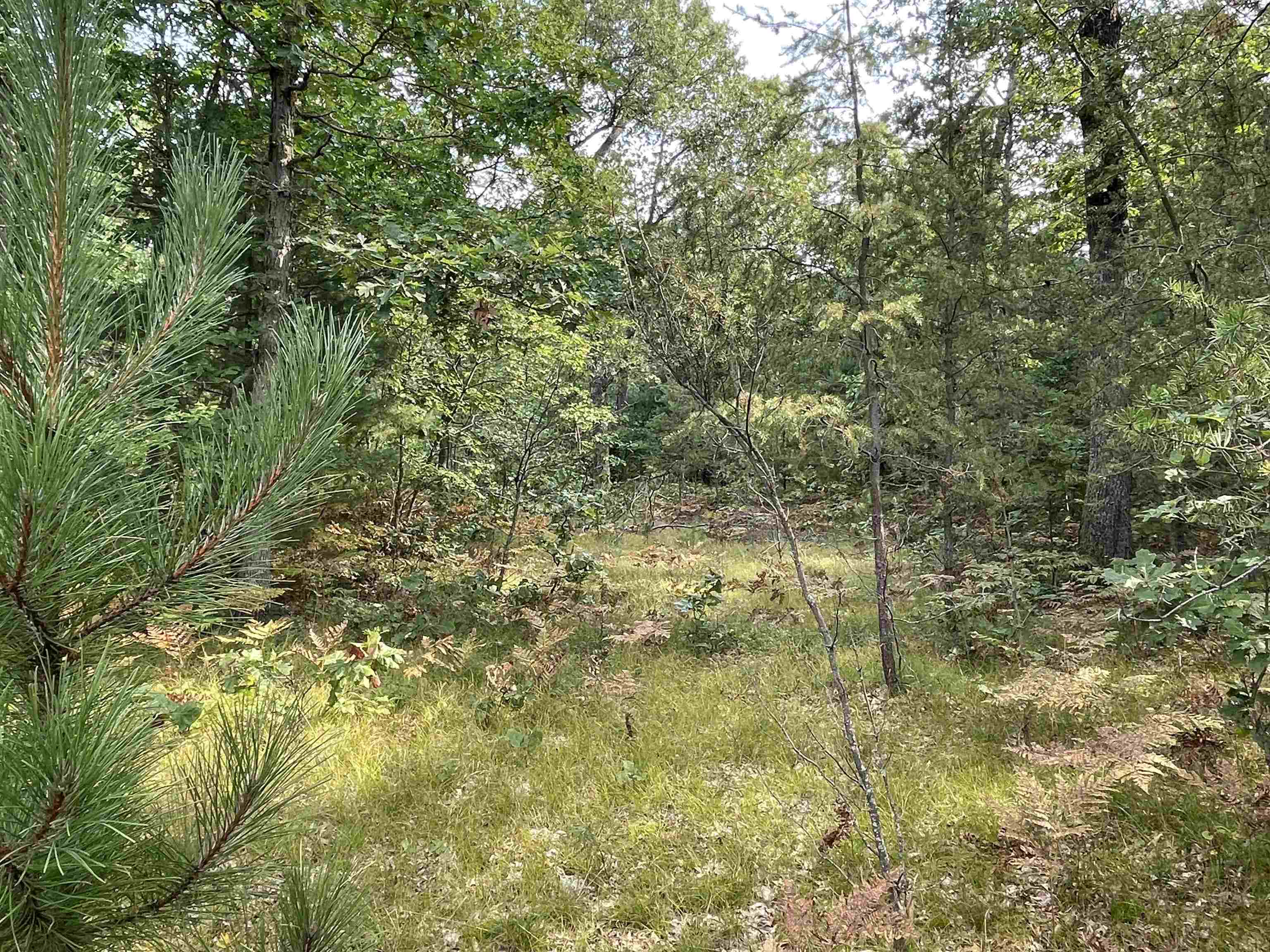 0 Koenig Road, Unit FREESOIL TOWNSHIP Free Soil, MI 49411 - Photo 5 of 11