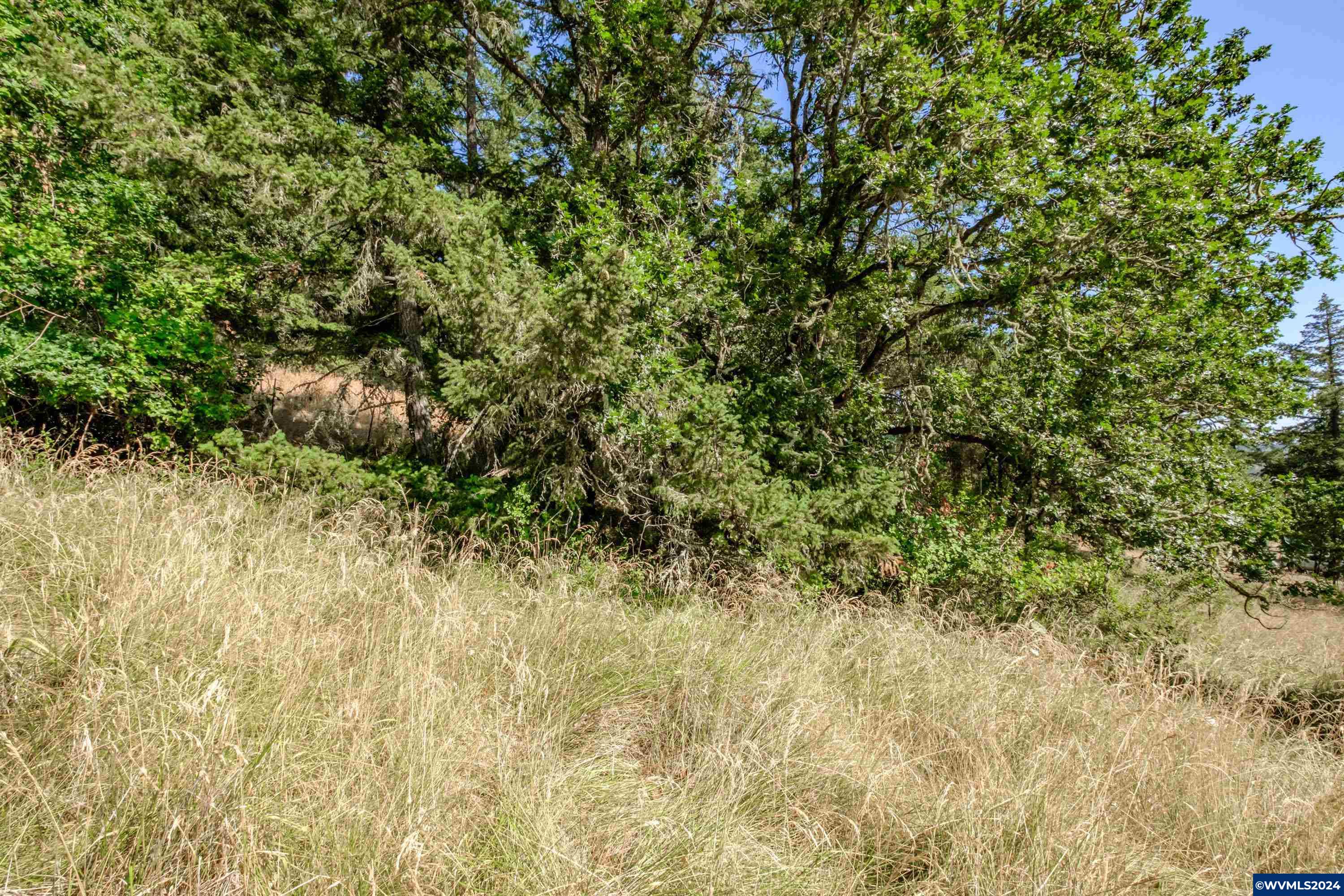 28920 Sheep Head Road Brownsville, OR 97327 - Photo 22 of 32