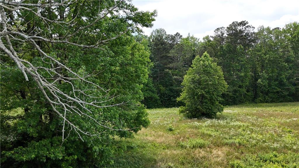 1 Melear Road Bowdon, GA 30108 - Photo 29 of 51