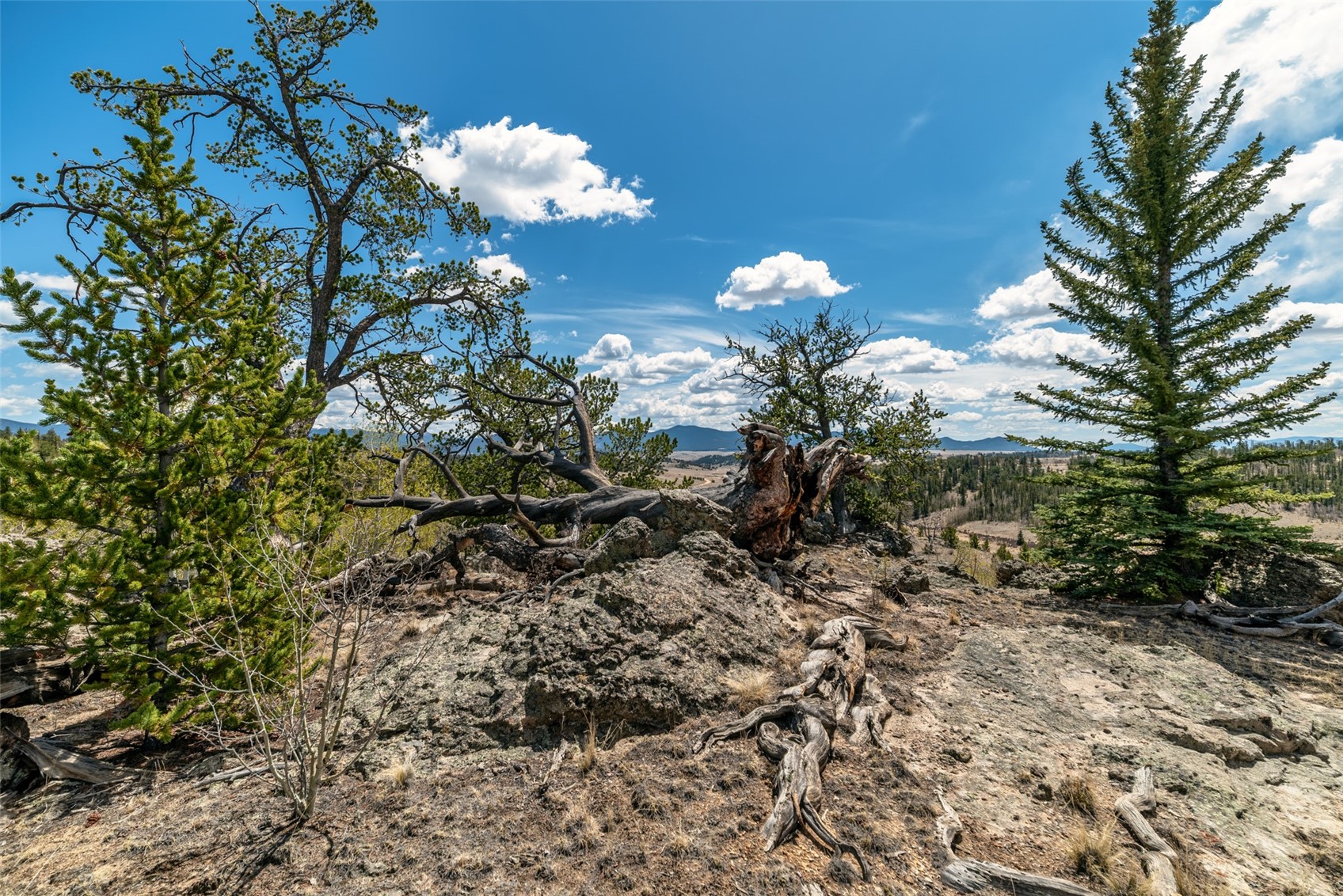 360 Musket Lane Como, CO 80456 - Photo 39 of 46
