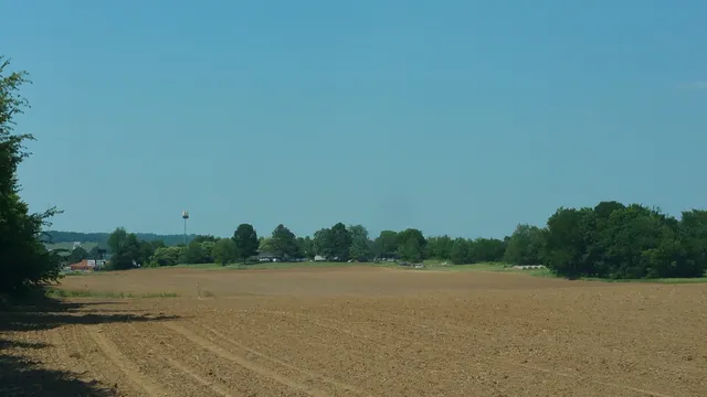 a view of a field with trees in background