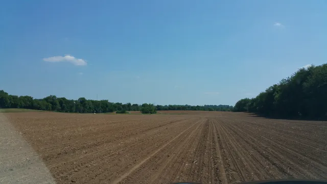 a view of wooden floor and lake with trees in background