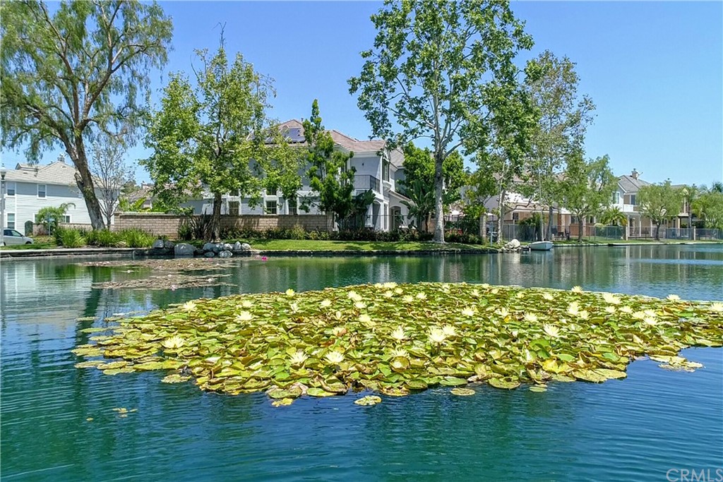 50 Lakeside Drive Buena Park, CA 90621 - Photo 11 of 69 a lake view with a large trees around