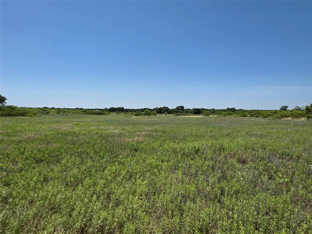 1000 County Road 375 Rising Star, TX 76471 - Photo 26 of 40