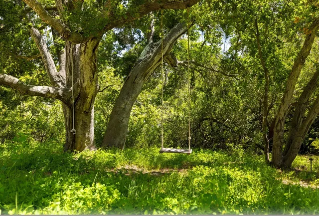 a backyard of a house with lots of green space