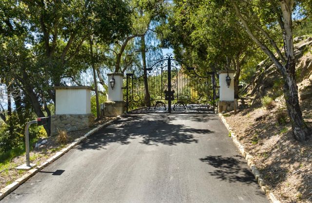 a view of a yard with plants and trees