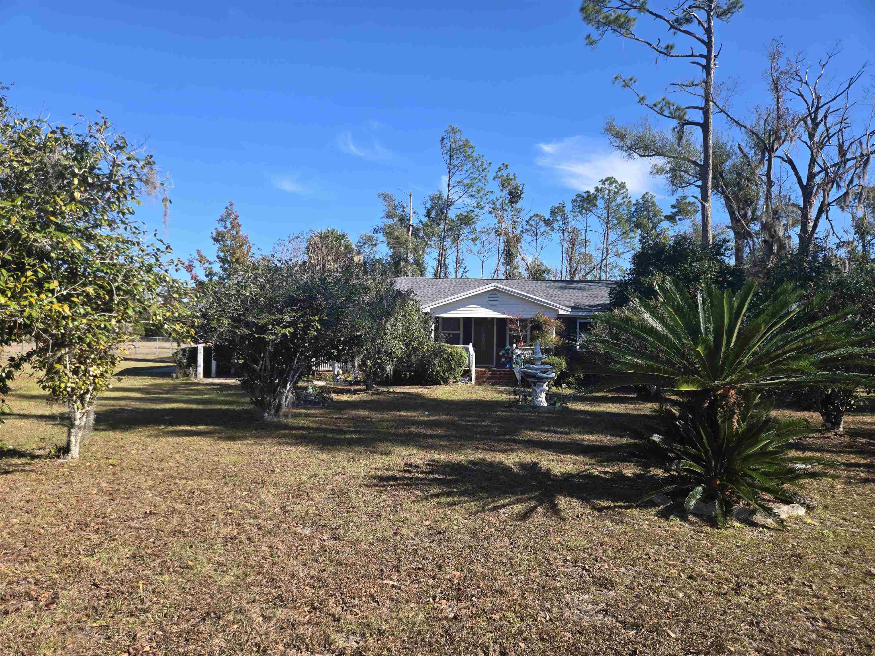 1946 Highway 221 Perry, FL 32347 - Photo 14 of 53