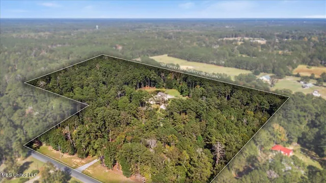 $985,000 | 4164 Magnolia Pisgah Road, Summit, MS 39666
