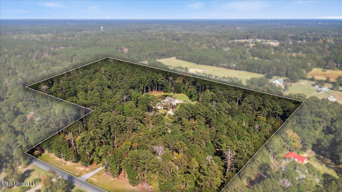 4164 Magnolia Pisgah Road Summit, MS 39666 - Photo 37 of 50 59-DJI_0154A