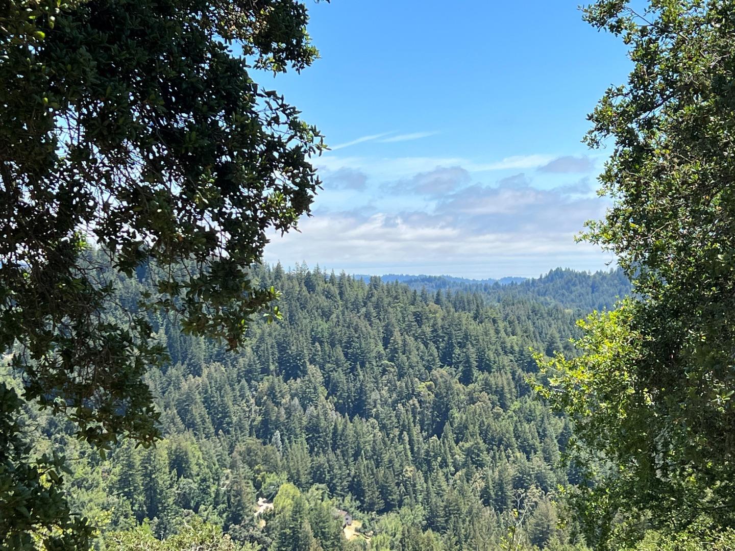 23554 Mountain Charlie Road Los Gatos, CA 95033 - Photo 11 of 11