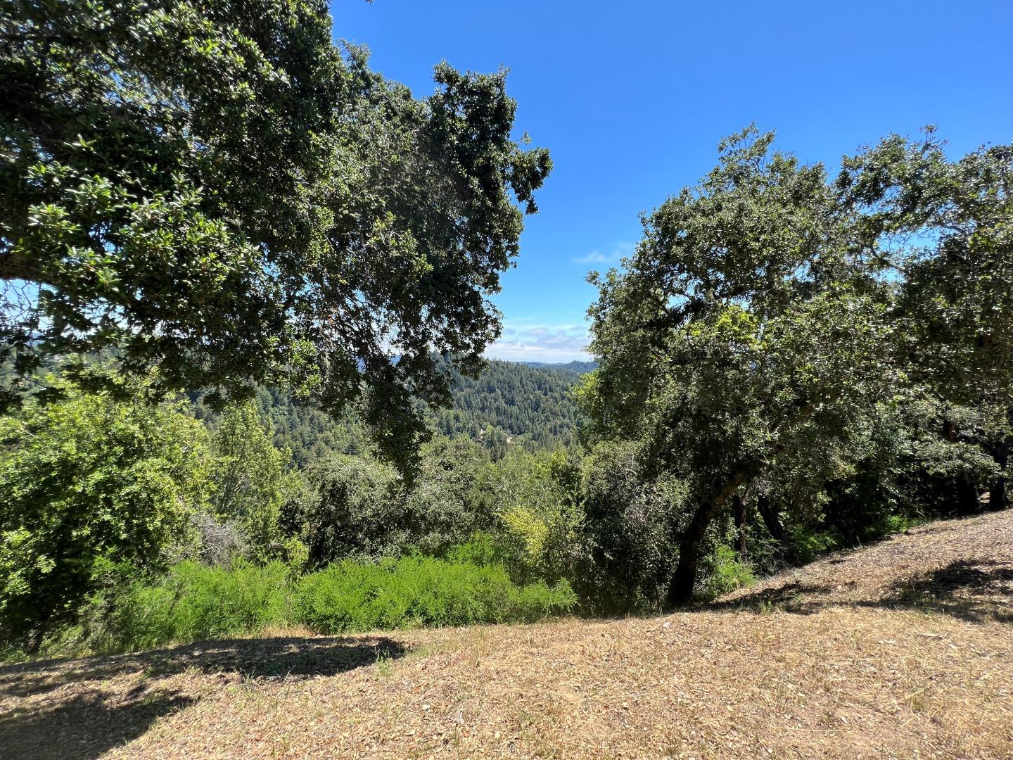 23554 Mountain Charlie Road Los Gatos, CA 95033 - Photo 10 of 11