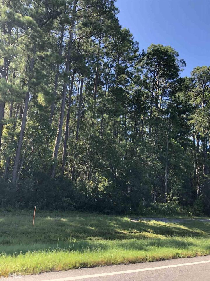 0 Blue Jay Parcel Road, Unit 4 Rincon, GA 31326 - Photo 1 of 1